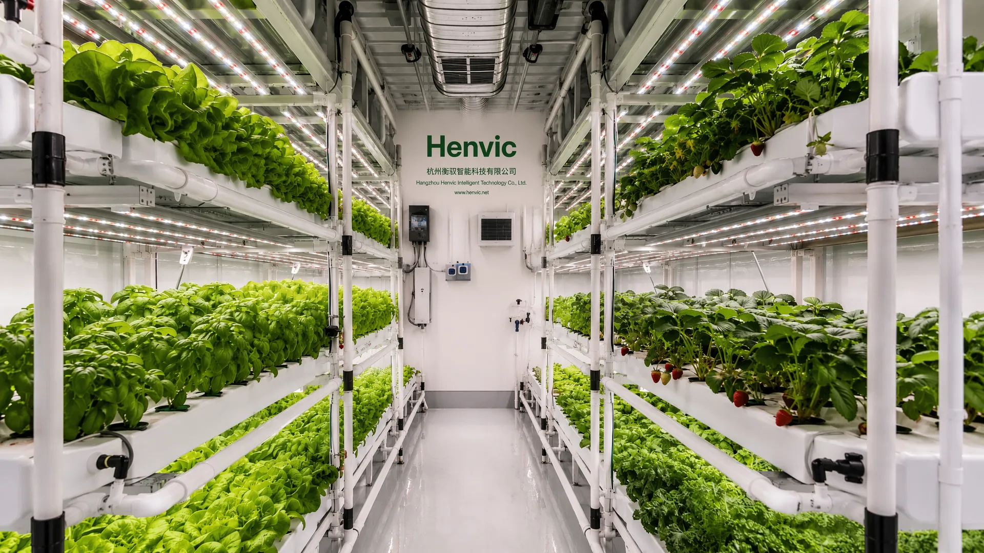 vegetable cultivation container technology. | Henvic