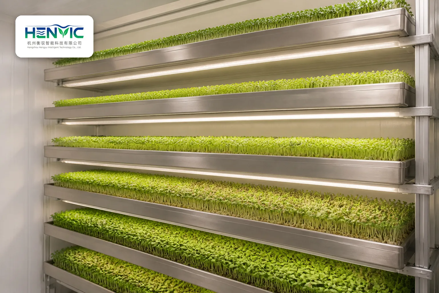 Celery Cultivation Container High-Yield